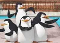 Пингвины из Мадагаскара Не трогать! Яйца вкрутую